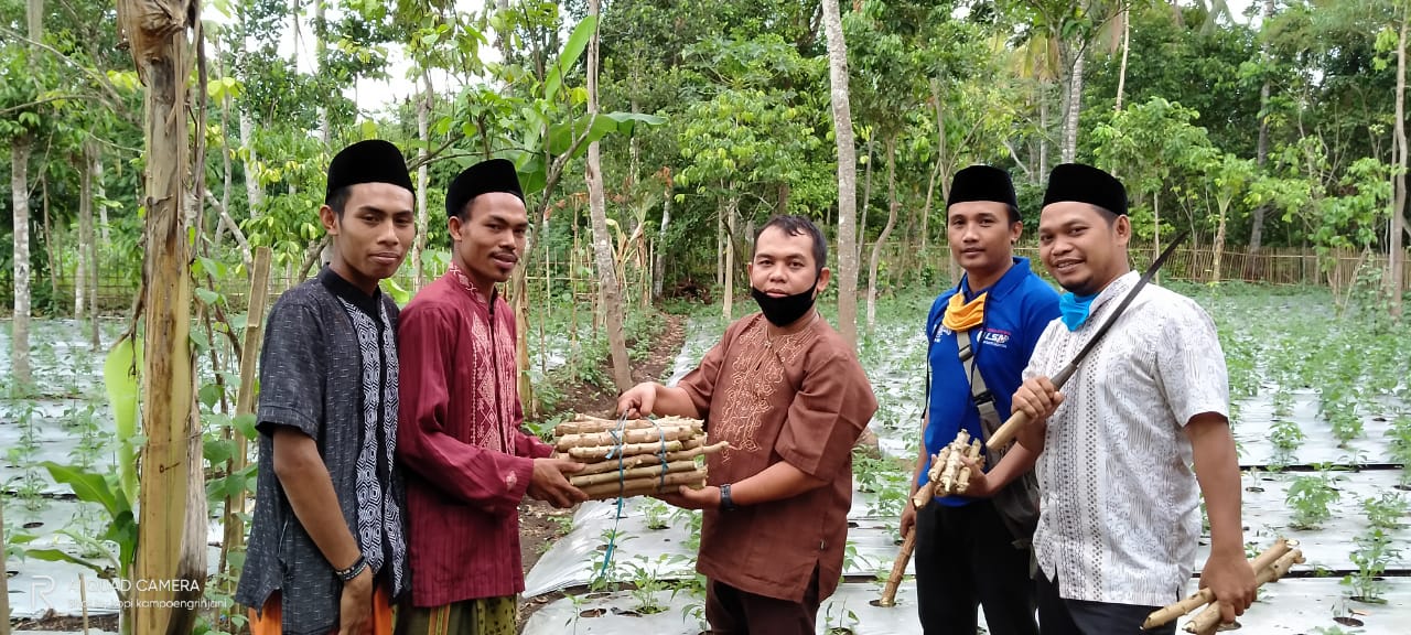 Jaga Ketahan Pangan, Satgas NU NTB Bantu Bibit Singkong 1 WhatsApp Image 2020 05 21 at 00.49.53