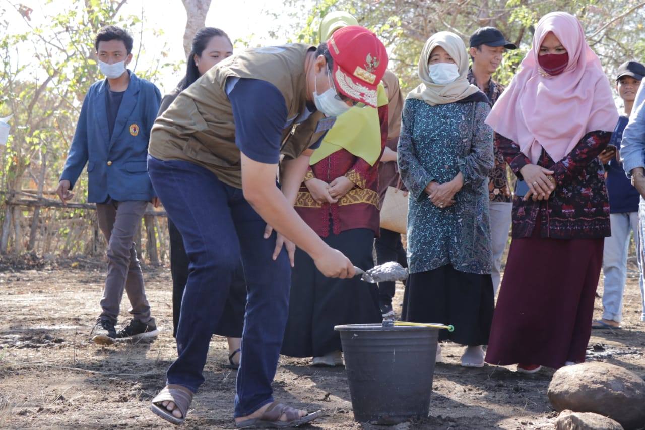 100.000 Pullet, Langkah Awal Bangun Industri Peternakan di NTB 1 WhatsApp Image 2020 07 18 at 01.41.45
