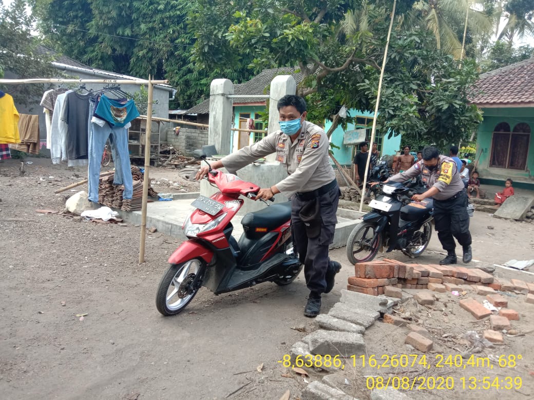 f sabung ayam 1