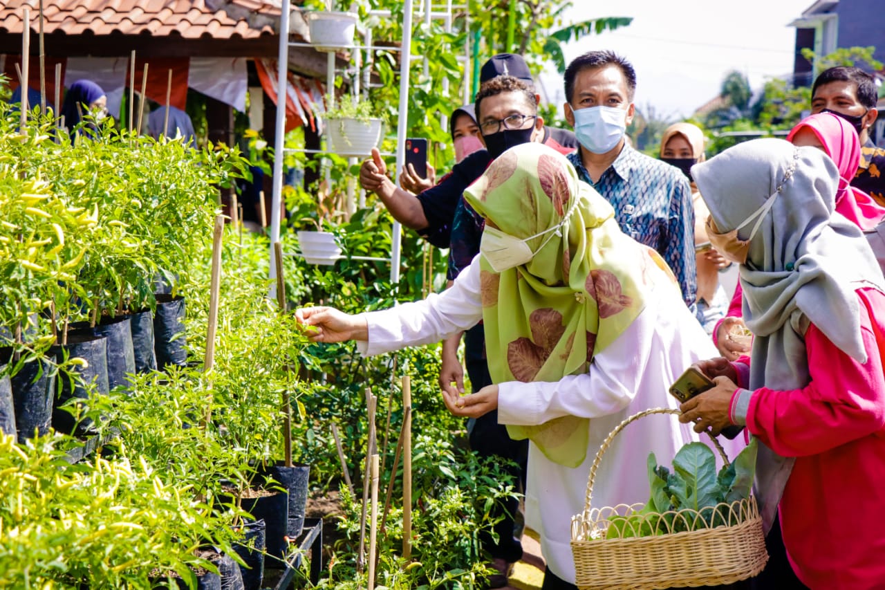 Kelompok Wanita Tani Didorong Tetap Produktif di Masa Pandemi 1 WhatsApp Image 2020 09 26 at 10.10.27 AM