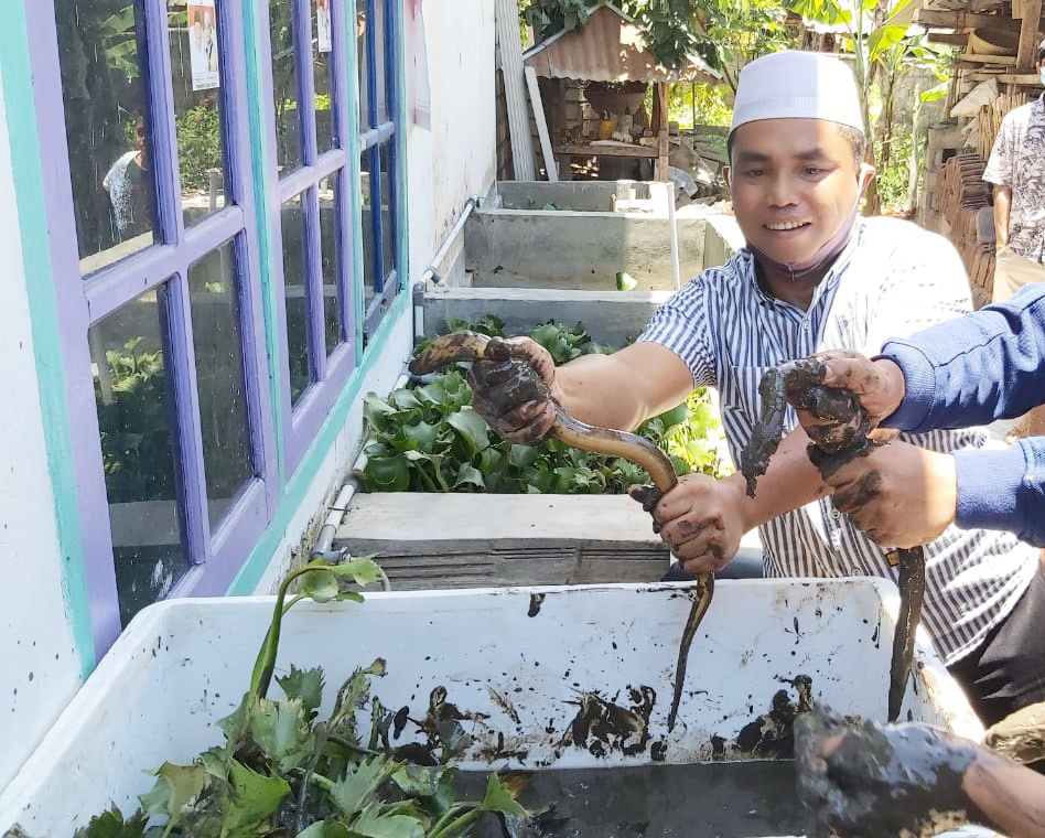 Dewan Peduli Keberadaan Pembudidaya Belut 1 F BELUT