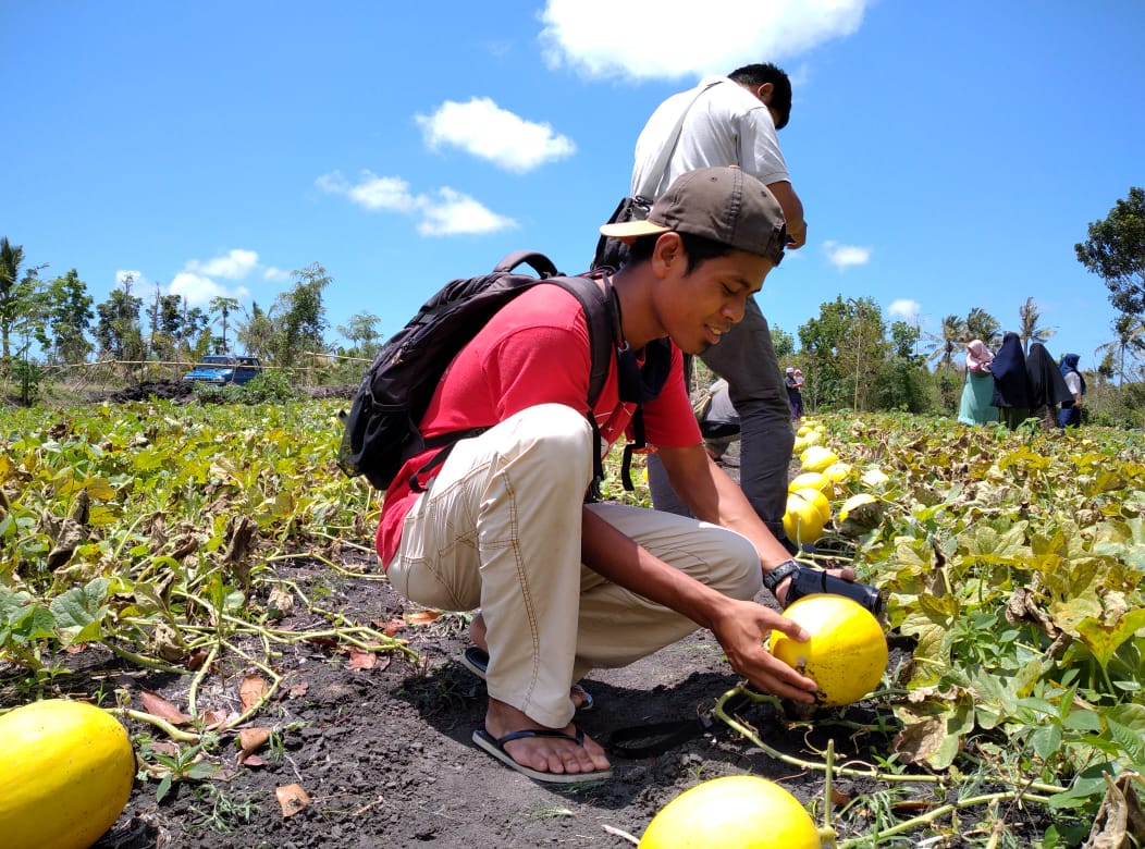 Berbekal Youtube, Wisata Melon Omzet Jutaan 1 IMG 20201025 WA0054