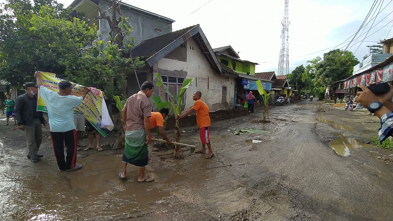 35 Tahun Jalan Tidak Pernah Diperbaiki Pemerintah 1 F Tanam Pohon Pisang