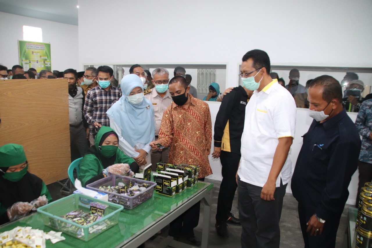 Zul-Rohmi Pilih Industrialisasi untuk Kebut Pembangunan NTB 1 F gubernur cek