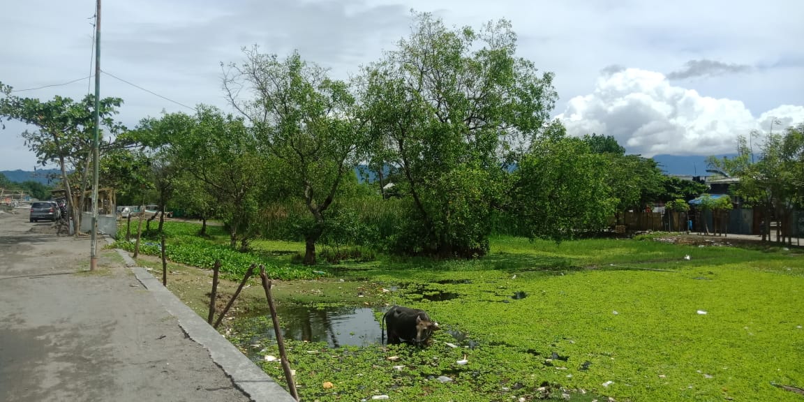 Sengketa Lahan, Kedua Belah Pihak Keras 1 F RTH