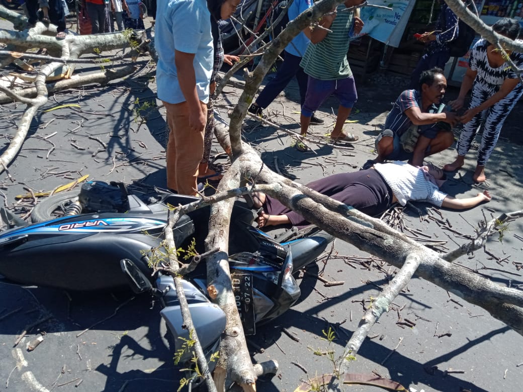 Wanita Asal Ganti Ditimpa Pohon, Langsung Dilarikan ke RSUD Praya 1 F Lakalantas