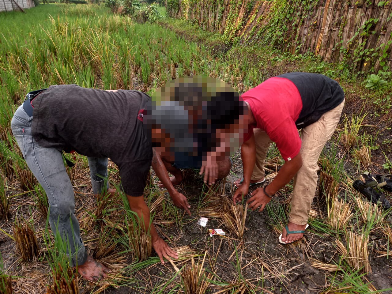 Bawa Sabu, Pemuda dari Landah Ditangkap 1 F tangkap