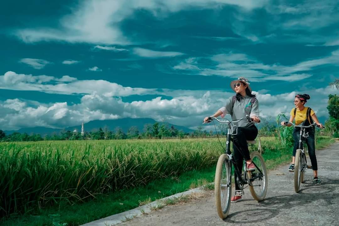 F desa wisata