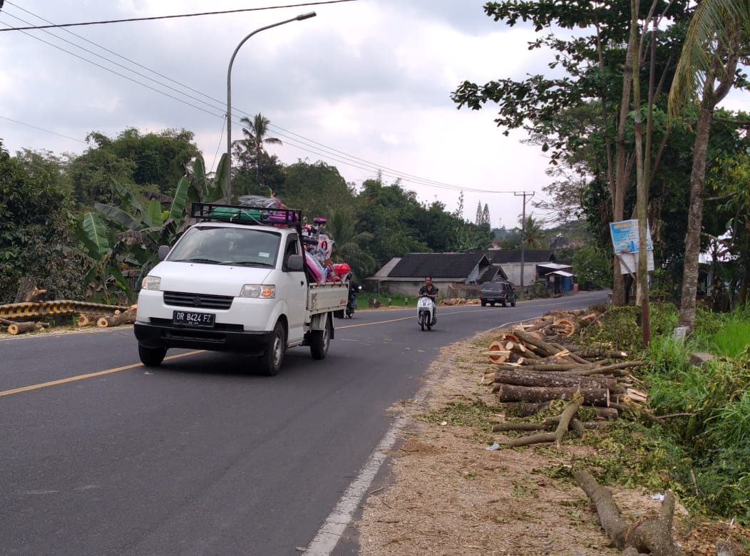 Tebang Pohon, Kades Aik Darek Klaim Ada Izin 1 IMG 20210608 WA0000