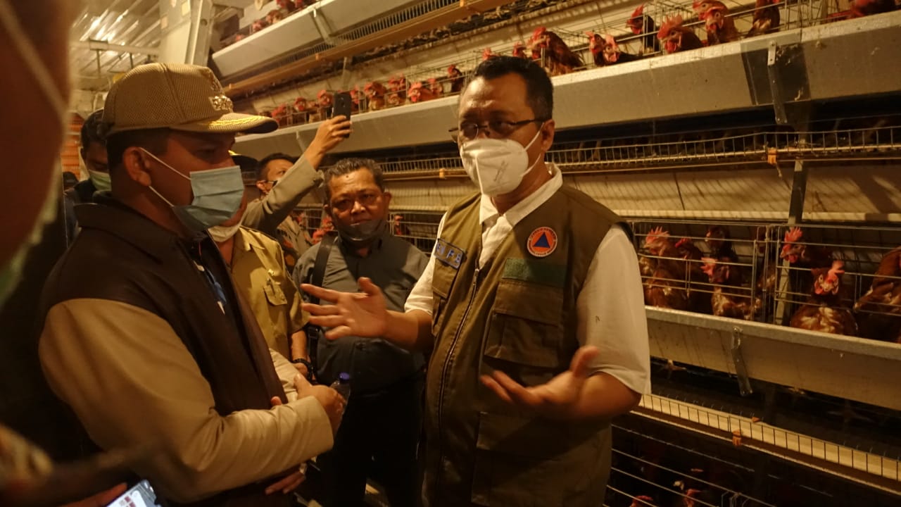 Dompu Miliki Potensi Bahan Baku Pakan 1 F gubernur 1