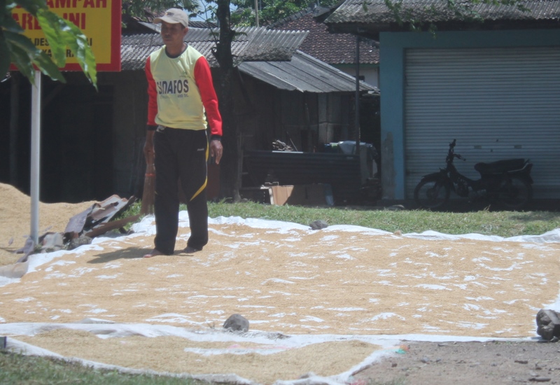 4 Ribu TKI Pulang Kampung, Butuhkan Lapangan Kerja 1 F lapangan kerja
