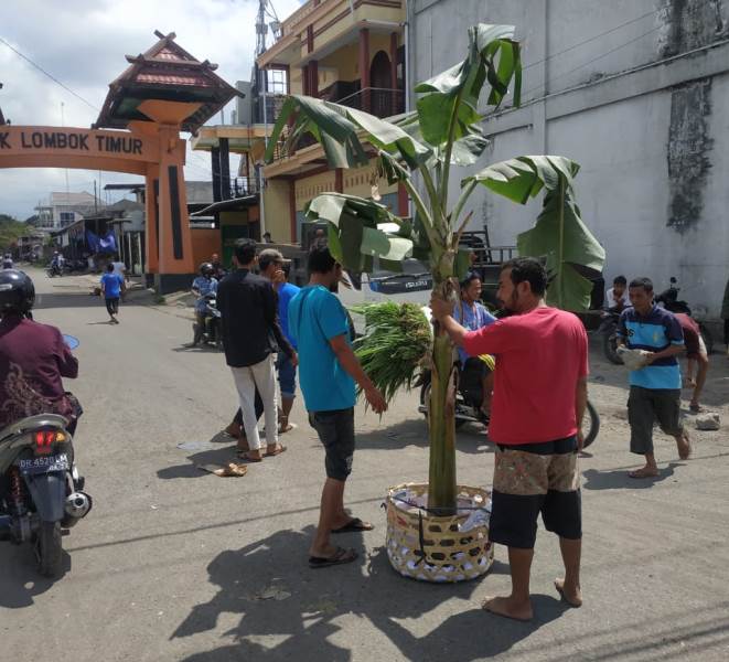 F TANAM PISANG