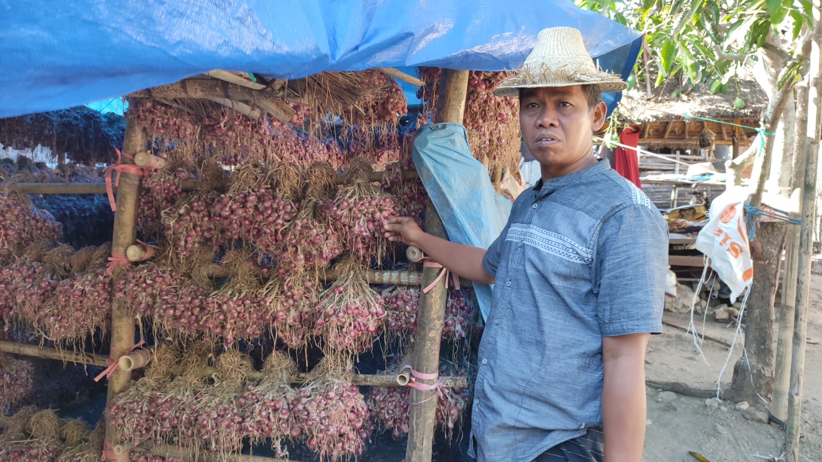 Cerita L Syarifudin, Kades Kateng yang Berhasil jadikan Petani Bawang Merah Sukses 1 F bok