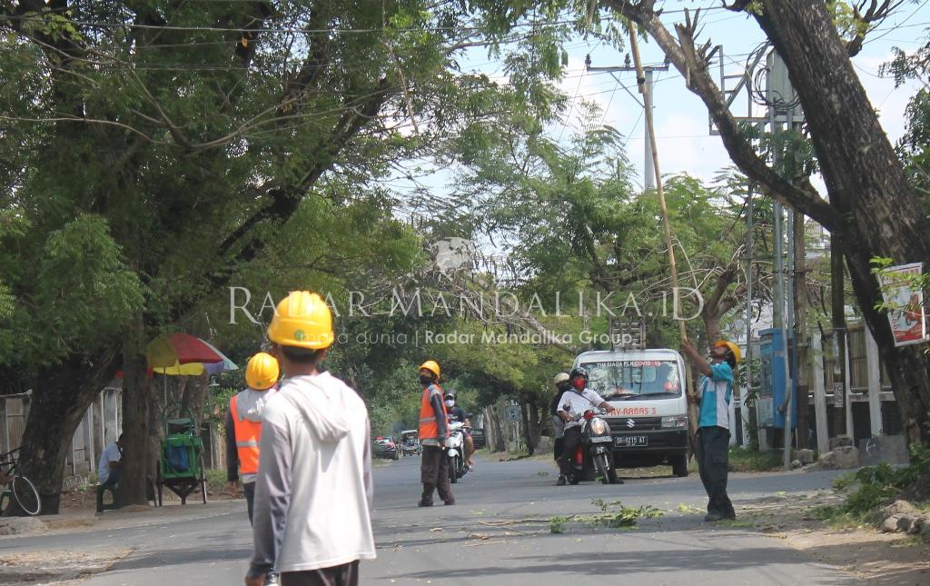 F pekerja PLN