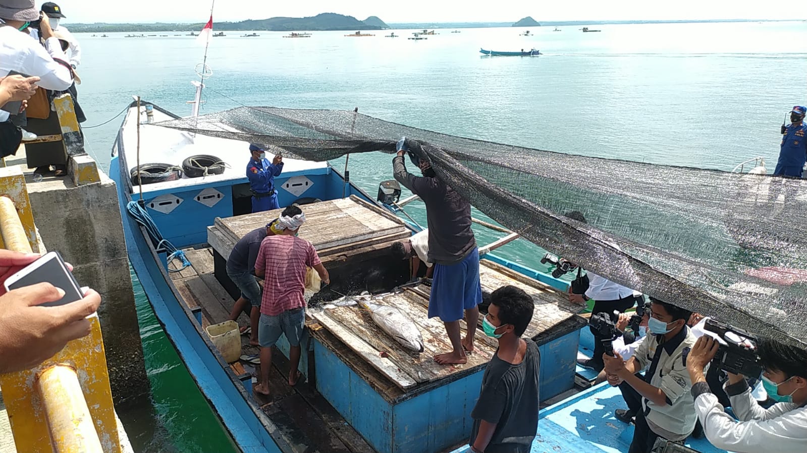 F AA ikan
