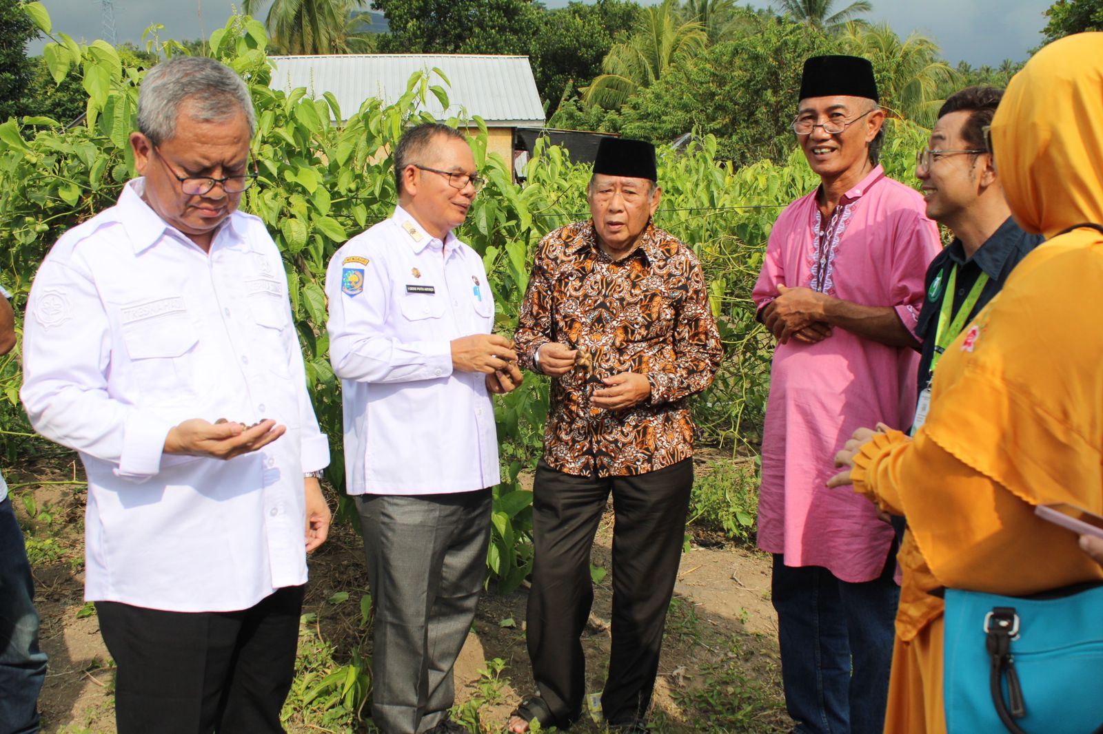 BRIDA NTB Usulkan Budidaya & Hilirisasi Kurma Datu Tumpangsari Sacha Inci sebagai Inovasi Unggulan NTB di IGA 2025