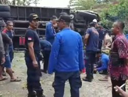 Truk Bermuatan Jagung Tabrak Pohon di Jontlak, Damkartan Loteng Evakuasi Pohon Tumbang