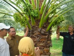 Tim Innovative Government Award IGA 2025 Lakukan Verpak Dua Inovasi Unggulan NTB