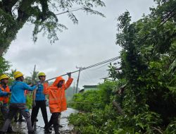 PLN UIW NTB Tuntaskan Pemulihan Kelistrikan Pascacuaca Ekstrem di Lombok