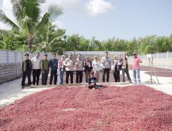 Pastikan Mutu dan Keaslian Produk, Pemeriksaan Pengolahan Kopi Robusta Rinjani Lombok Utara Memasuki Hari Kedua