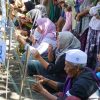 Keseruan Event Cemare Eco Fest 2026: Harmonisasi Konservasi Alam, Budaya, dan Pariwisata Berkelanjutan Pesisir 