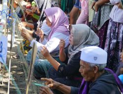 Keseruan Event Cemare Eco Fest 2026: Harmonisasi Konservasi Alam, Budaya, dan Pariwisata Berkelanjutan Pesisir 