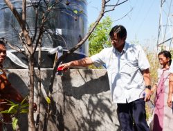 PLN Nusantara Power UP Sambelia Resmikan Sumur Bor di Desa Padak Guar, Wujudkan Akses Air Bersih dan Dukung Kesejahteraan Masyarakat