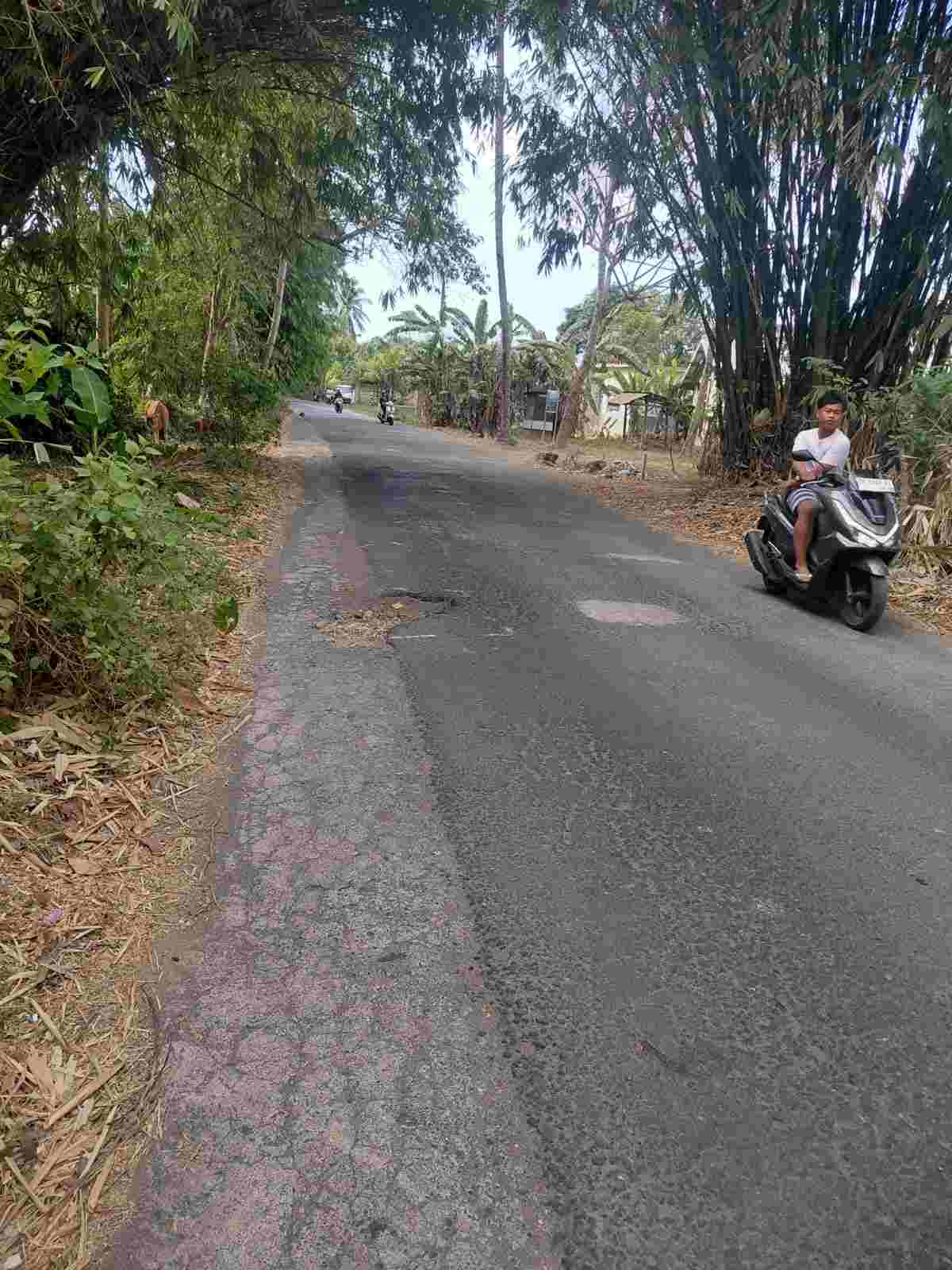 Pemda Lombok Utara Atensi Perbaikan Jalan Sire,  Siapkan Anggaran Rp 1,78 Miliar