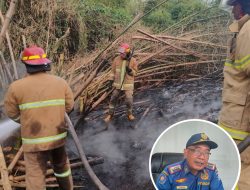 Tingkat Kebakaran Lahan Tinggi, Damkar Tangani 32 Kasus