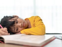 Bukan Sekadar Malas: Memahami Siswa dari Kacamata Psikologi Pendidikan