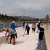 Panen Garam Melimpah, Namun Rendah Terserap