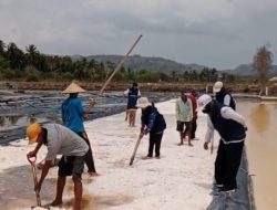 Panen Garam Melimpah, Namun Rendah Terserap